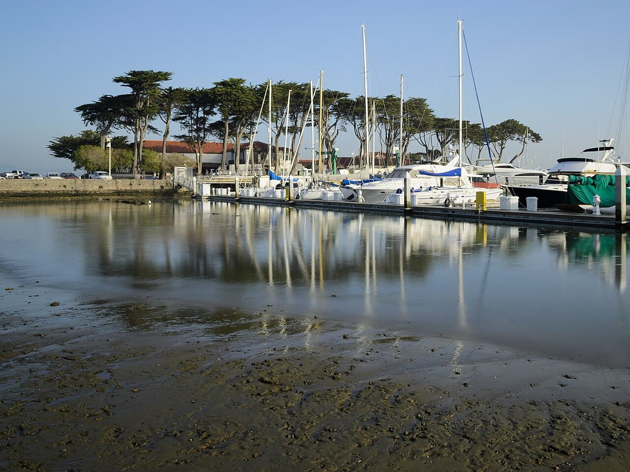 Marina District & the Presidio