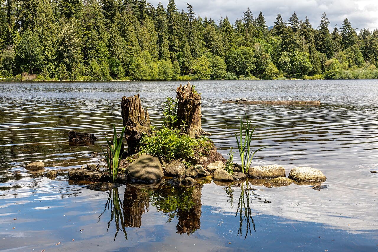 Stanley Park & West End, Vancouver