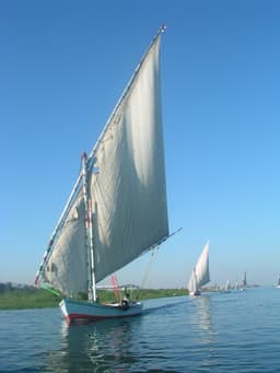 Photo: Charlesdrakew at English Wikipedia (Public domain)