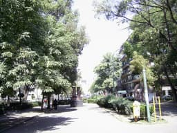 Photo: AugustoRomero (Public domain)